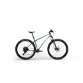 Dviratis Revo Bow 29"