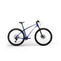 Dviratis Revo Bow SL Pro 29"