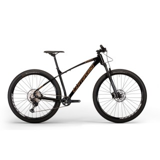 Dviratis X-Vert Pro Team 29"