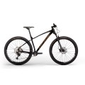 Dviratis X-Vert Pro Team 29"