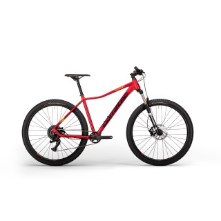 Dviratis X-Vert Expert 29"