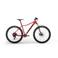 Dviratis X-Vert Expert 29"