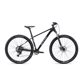 Dviratis Rambler 1.0 29''