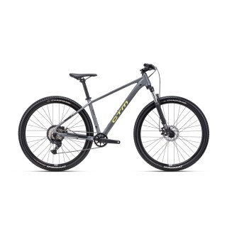 Dviratis Rambler 1.0 29"