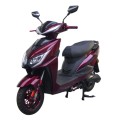 Elektrinis dviratis motoroleris A003