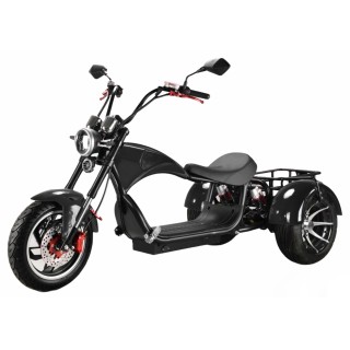 Elektrinis motoroleris čioperis su 3 ratais Citycoco EB-05M4 (IŠPARDUOTA, PAPILDYMAS 08-28)