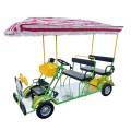 Elektrinis keturratis motoroleris ST03 1000W