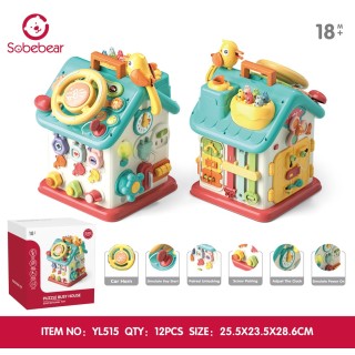 Multifunctional House for the Youngest