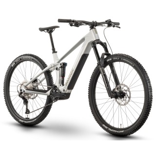 Elektrinis dviratis Raymon Airok 29" 2025 silver stealth-taupe-M