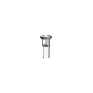 Stipinų galvutė 12G Round Head Brass Silver
