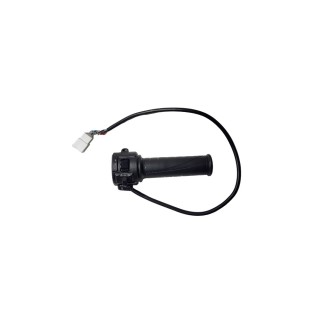 Citycoco CP-9 elektrinio motorolerio akseleratoriaus rankenėlė