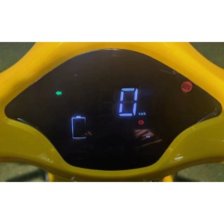 DAYI MOTOR E-BIENE motorolerio skydelis