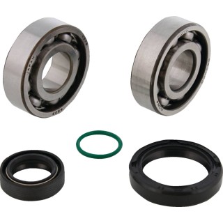 CRANKSHAFT BEARING AND SEAL KI