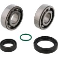 CRANKSHAFT BEARING AND SEAL KI