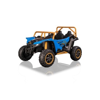 Buggy Arctic Cat Blue