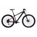 Dviratis MTB 29", X Vert Expert