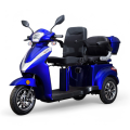 Elektrinis triratis motoroleris / mopedas MS04, 1kW 20AH Ličio jonų EEC eMOTO