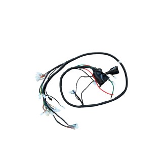 HS650 MS03 MS04 elektrinio motorolerio instaliacijos laidai