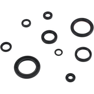 SEAL KIT ENGINE OIL HON