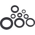 SEAL OIL SET HON