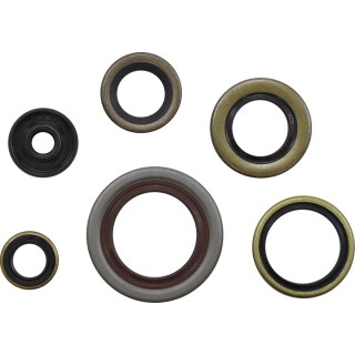 GASKET KIT OIL SEAL KTM