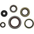 GASKET KIT OIL SEAL KTM