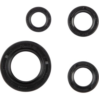 SEAL OIL SET HON