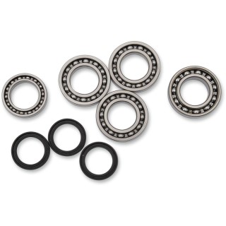 BEARING KIT DIFFERENTIAL FT PO
