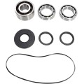 BEARING KIT DIFFERENTIAL FT PO