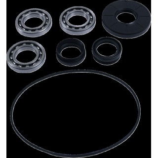 BEARING DIFFERENTIAL/SEAL KIT