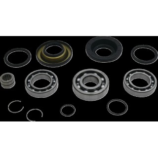 BEARING DIFFERENTIAL/SEAL KIT