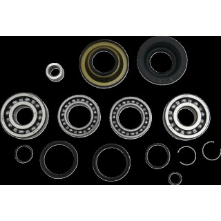 BEARING DIFFERENTIAL/SEAL KIT