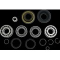 BEARING DIFFERENTIAL/SEAL KIT