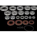 TRANSAXLE BEARING/SEAL KIT POL