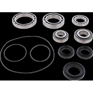 BEARING DIFFERENTIAL/SEAL KIT