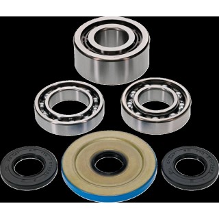 BEARING DIFFERENTIAL/SEAL KIT