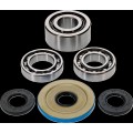 BEARING DIFFERENTIAL/SEAL KIT