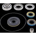 BEARING DIFFERENTIAL/SEAL KIT