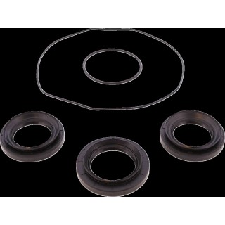 BEARING DIFFERENTIAL/SEAL KIT