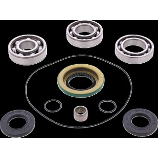 BEARING DIFFERENTIAL/SEAL KIT