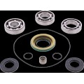 BEARING DIFFERENTIAL/SEAL KIT