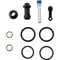 CALIPER REBUILD KIT