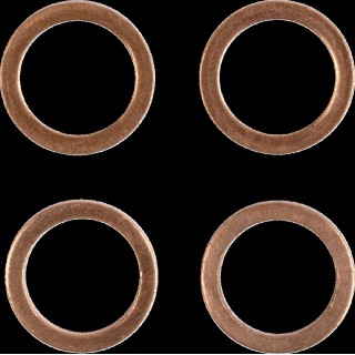 Stainless Steel Braided Brake