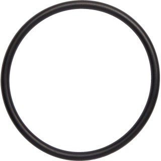 O-RING EXH TRX250R