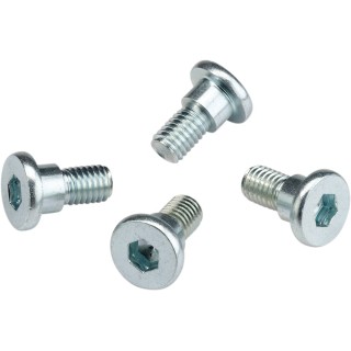 BOLTS ROTOR HON/TM