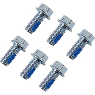 BOLTS ROTOR HON/KTM/TM