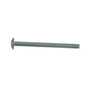 SPRAY 2.5'' MACHINE SCREW