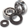 BEARINGS SLS-CRANK CR125