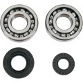 BEARINGS SLS CRANK YZ250