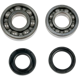 MOOSE CRANK BEARING/SLS YFS200